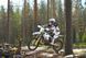Мотоцикл HUSQVARNA TE 150I MOT-246 фото 10