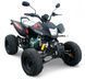 Квадроцикл BASHAN BS250S-11B KVD-003 фото 1
